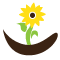 Flor